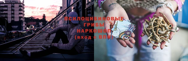 стаф Покровск