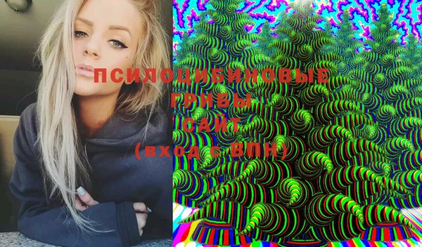 mix Алексеевка