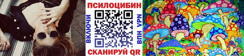 Псилоцибиновые грибы мицелий купить Боготол