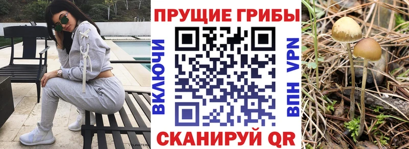 Псилоцибиновые грибы мухоморы Боготол
