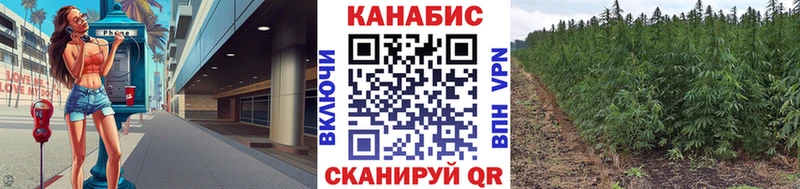 Бошки марихуана AK-47 Боготол